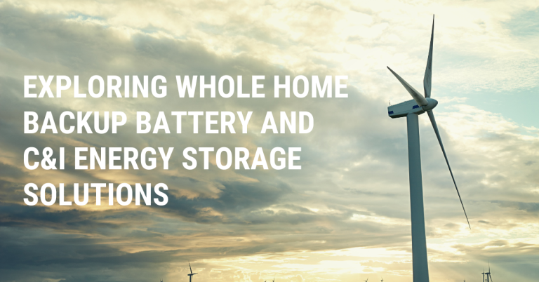 Harnessing Power: Exploring Whole Home Backup Battery and C&I Energy Storage Solutions