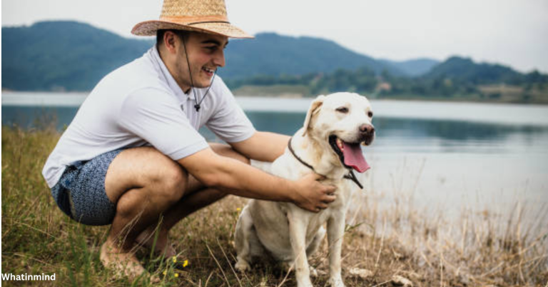 How to Make the Most of Your Pet Sitting at Salt Lake