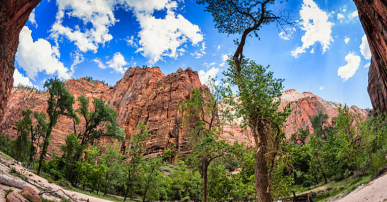 Unveiling Zion: Must-Do Activities in the Park