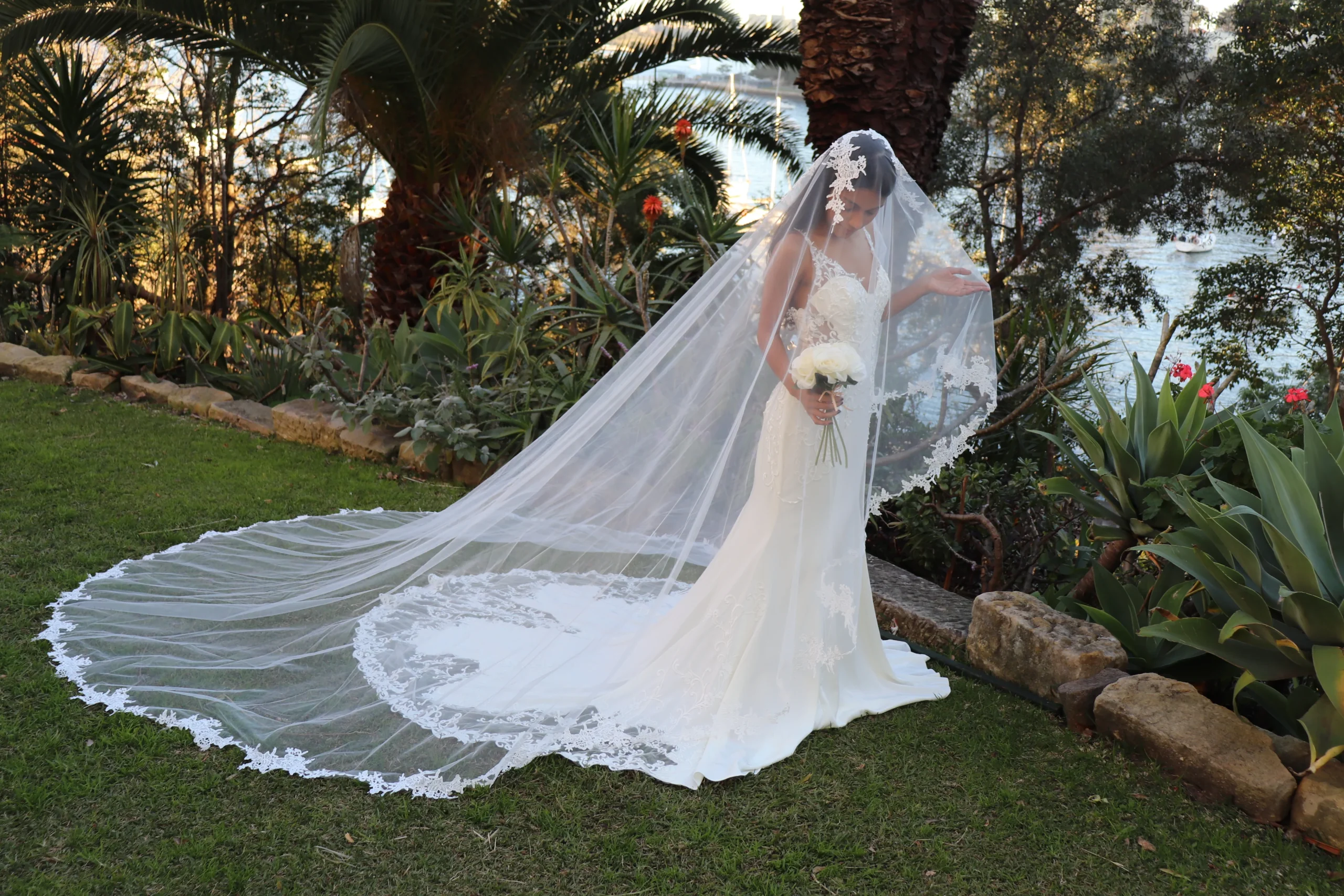 Bridal Veils