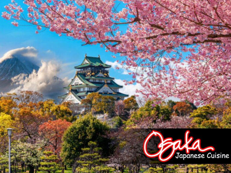 Osaka Japanese Cuisine - Authentic Japanese Restaurant in Olive Branch