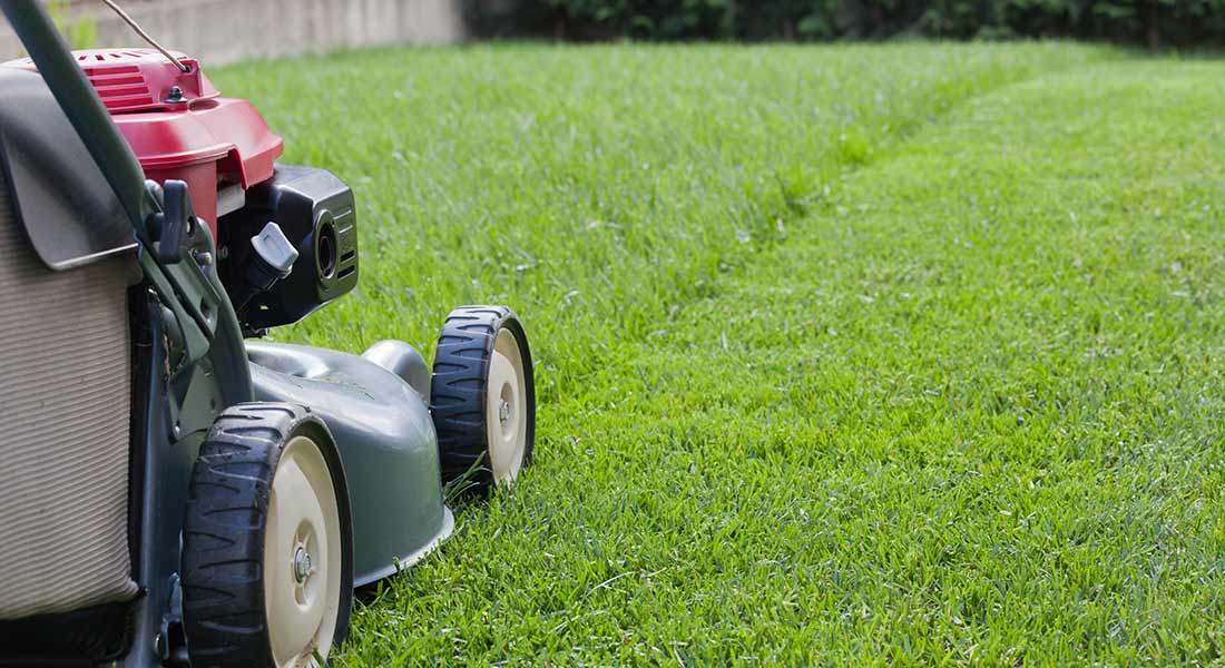 lawn care Elburn IL