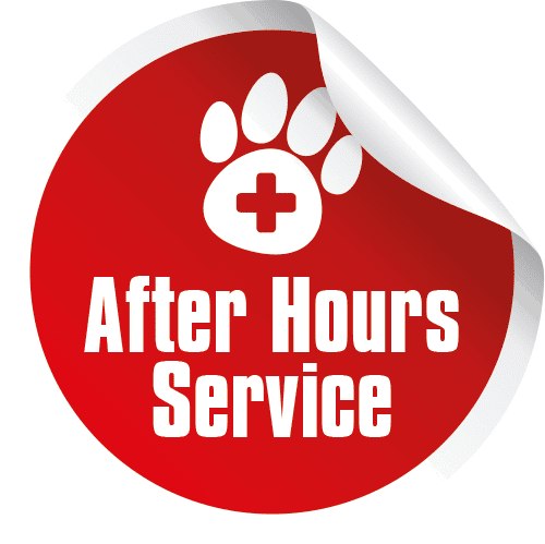 after hours vet