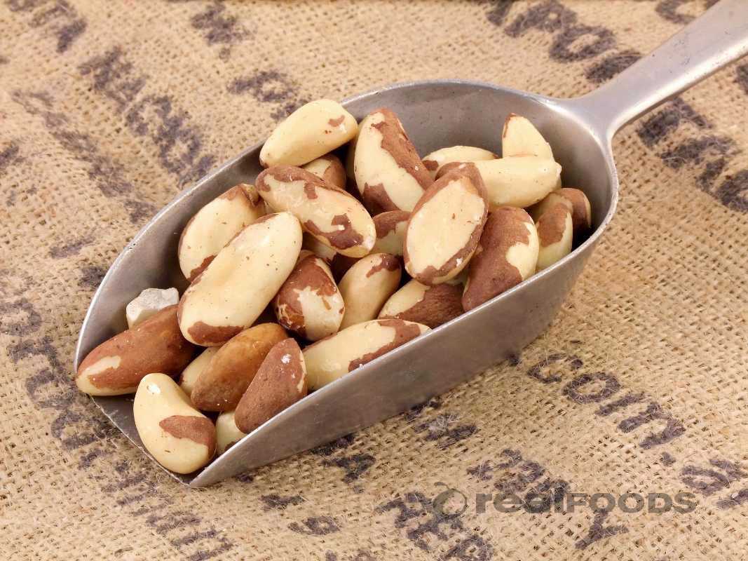 Brazil Nuts