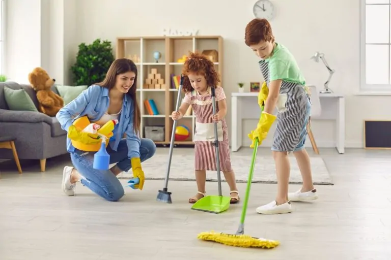 How a Professional House Cleaner Can Help You Maintain a Tidy Home