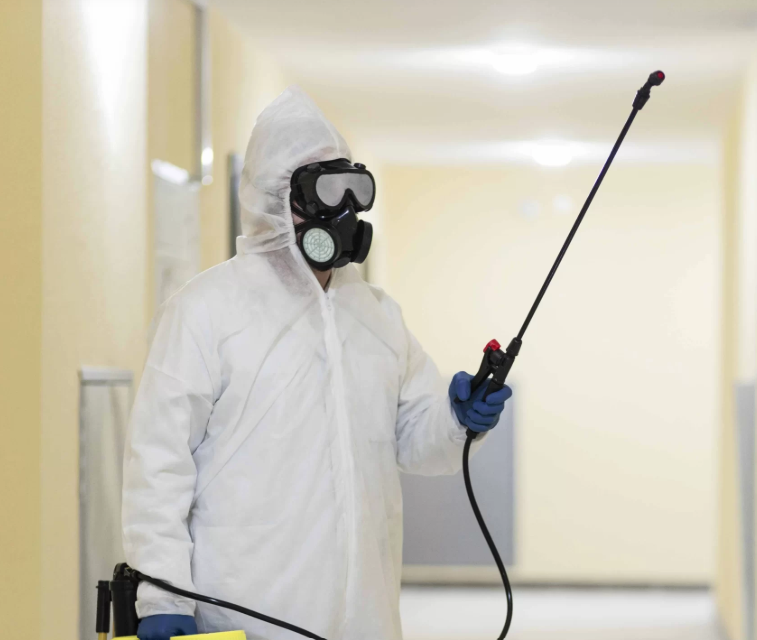 pest control Colorado Springs