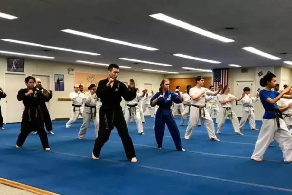 Martial Arts Lessons