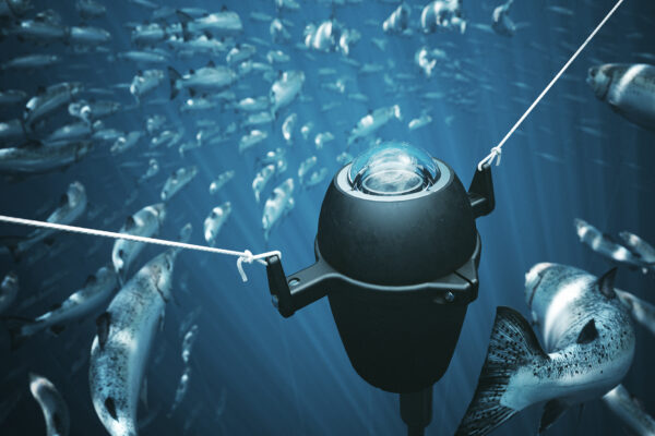 underwater inspection camera