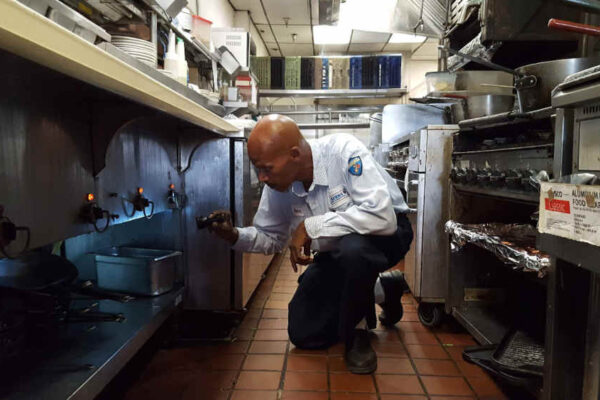 Pest Control for Restaurant